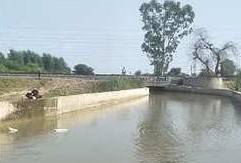 http://citytehelka.in/ambala-me-railway-underpas-k-niche-mila-13-saal-k-bache-ka-shav/