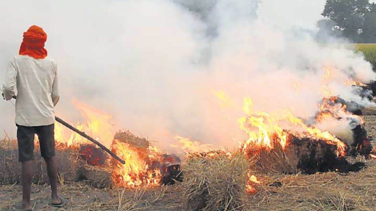 29 09 2022 stubble burning 23106102