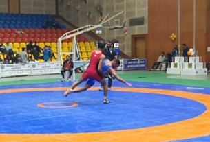 men's Greek and Roman freestyle wrestling