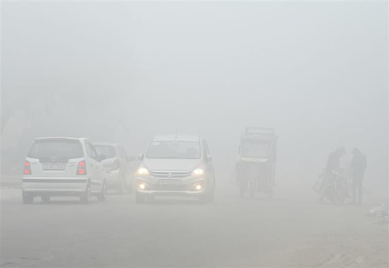 fog
