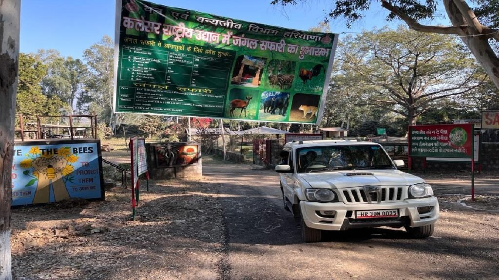 Yamunanagar : कलेसर नेशनल फॉरेस्ट पार्क में 3 साल बाद दर्शकों के लिए जंगल सफारी फिर से शुरू, संक्रमण कमी देखते हुए सरकार ने लिया निर्णय 5 20339979 yamunanagar kalesar park