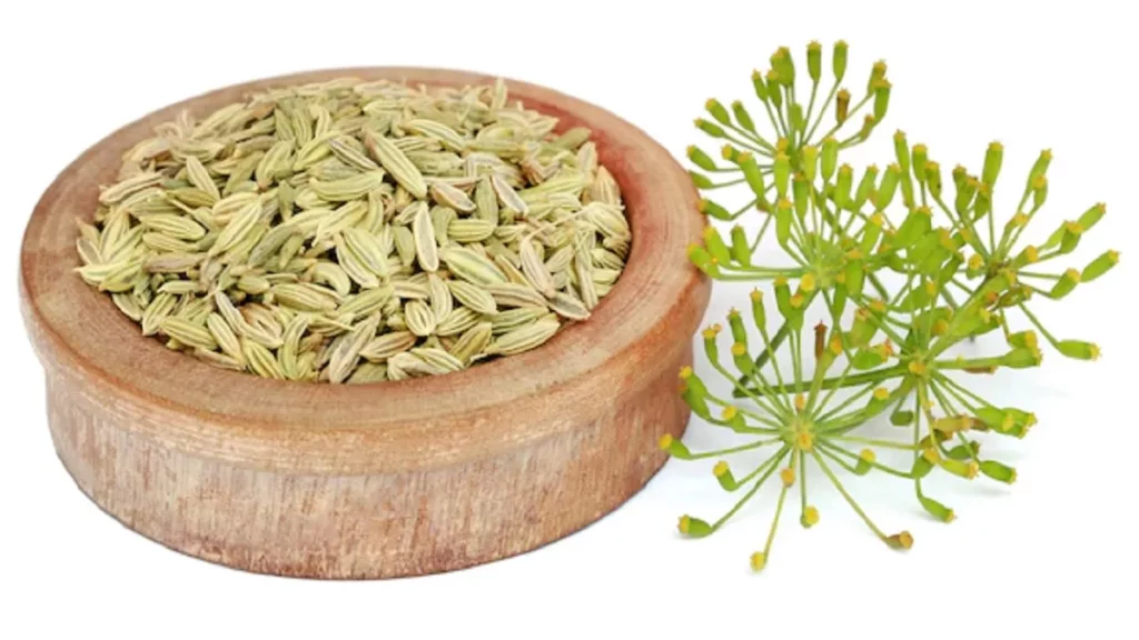 29 11 2022 fennel seeds 23234448