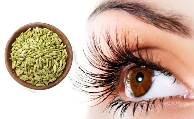 Benefits of Fennel for Eye Sight