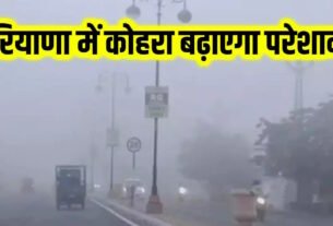 Shadow fog wreaks havoc in Haryana