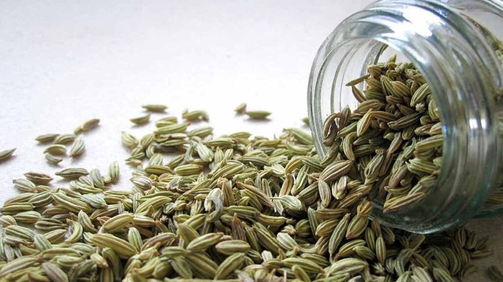 fennel health benefits