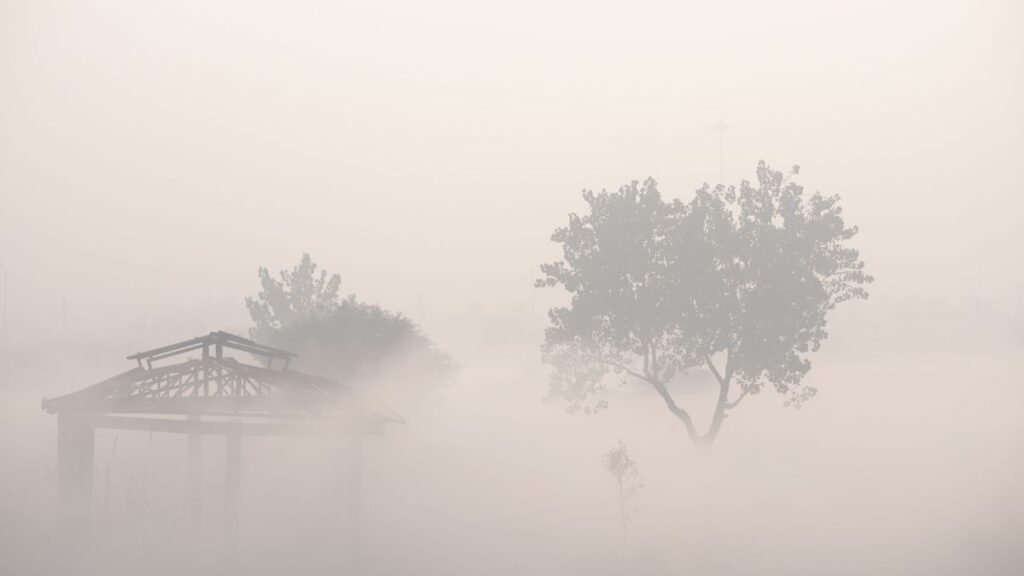 fog 1703298052