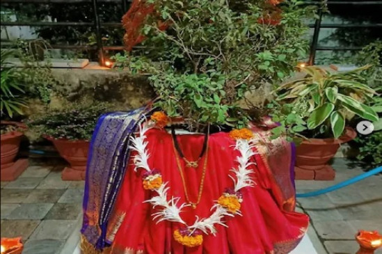 kartik month know the importance of tulsi puja in this month 730X365