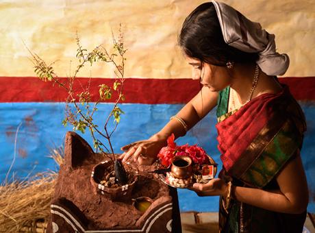 Tulsi Puja Day