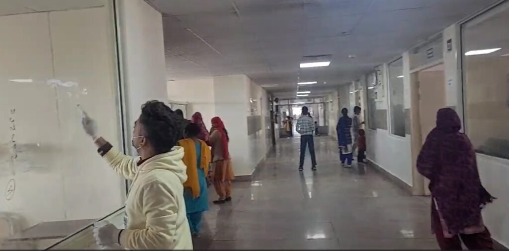 यमुनानगर 12