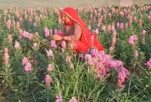 A farmer is earning Rs 30 lakh every year by leaving traditional farming and cultivating flowers.