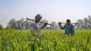 Sirsa में फिर बिफरें किसान, cotton वाले किसानों को बर्बाद होने का खतरा, बैठक कर Delhi कूच का किया आह्वान 2 download 15