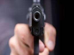 Faridabad में 2 बदमाशों ने 8 सेकेंड में किए 15-16 फायर, 10 गोलियां लगने से Ballu Wrestler की मौत, CCTV से खुलासा 2 download 3 4