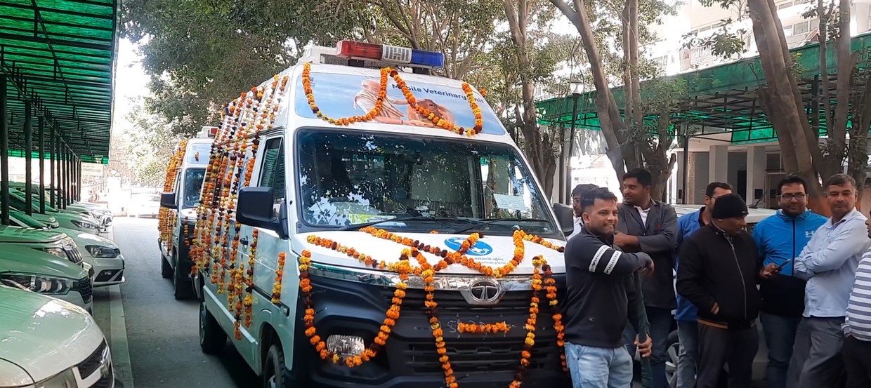 three mobile vans will go door-to-door to treat animals