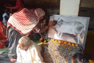 Farmer sets a unique example in Sonipat, organizes Bhandara with Havan on the death of his pet cow