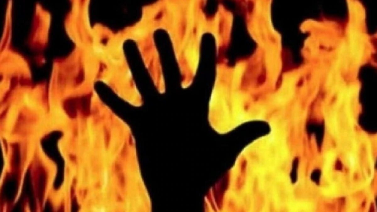 Man burnt alive in Panipat