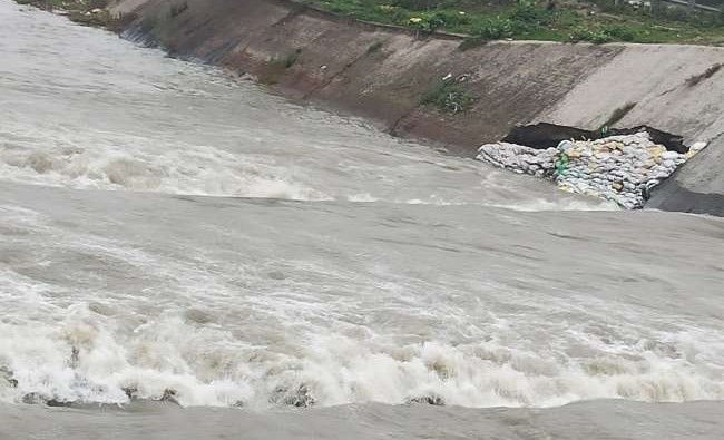 Heads of 5 cows found in the Western Yamuna Canal