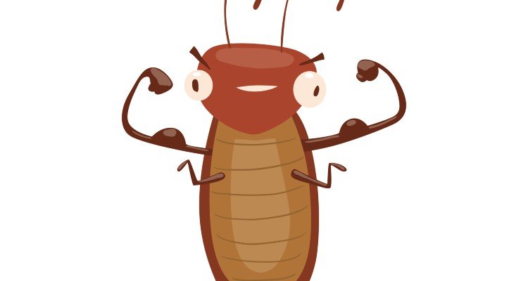Dinosaurs मर गए लेकिन Cockroaches बच गए 2 Can Cockroaches Survive Nuclear War