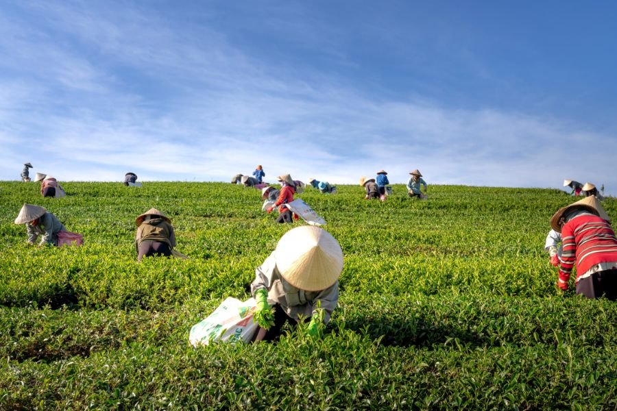 Rabi marketing season 2024-25 -4