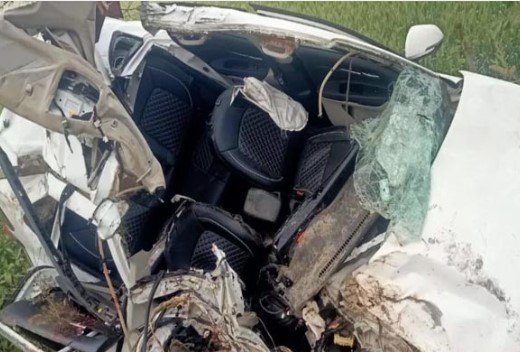 Palwal में नील गाय को बचाने के चक्कर में गई 3 युवकों की जान, 1 की हालत गंभीर 2 Screenshot 1878