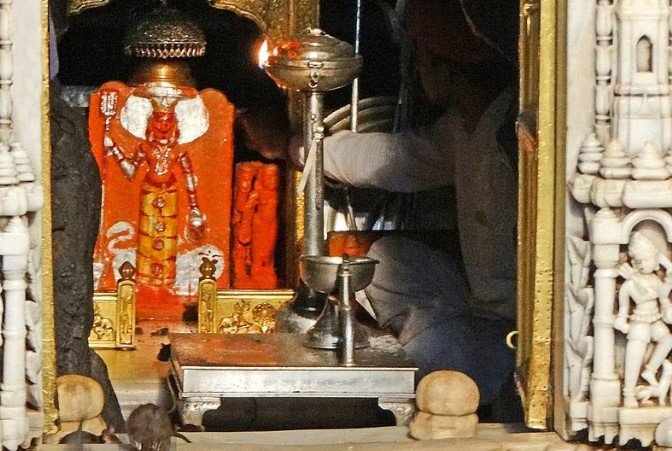 Rajasthan : 25 हजार चूहों के बीच होते हैं Karni Mata के दर्शन, 500 वर्ष पुराना Temple, जानिए History 5 Karni Mata temple - 4