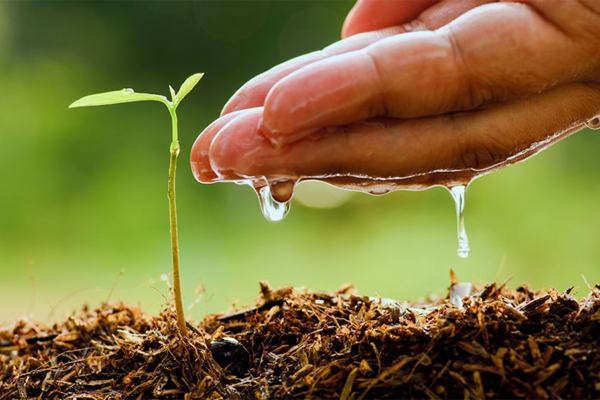 agricultural science