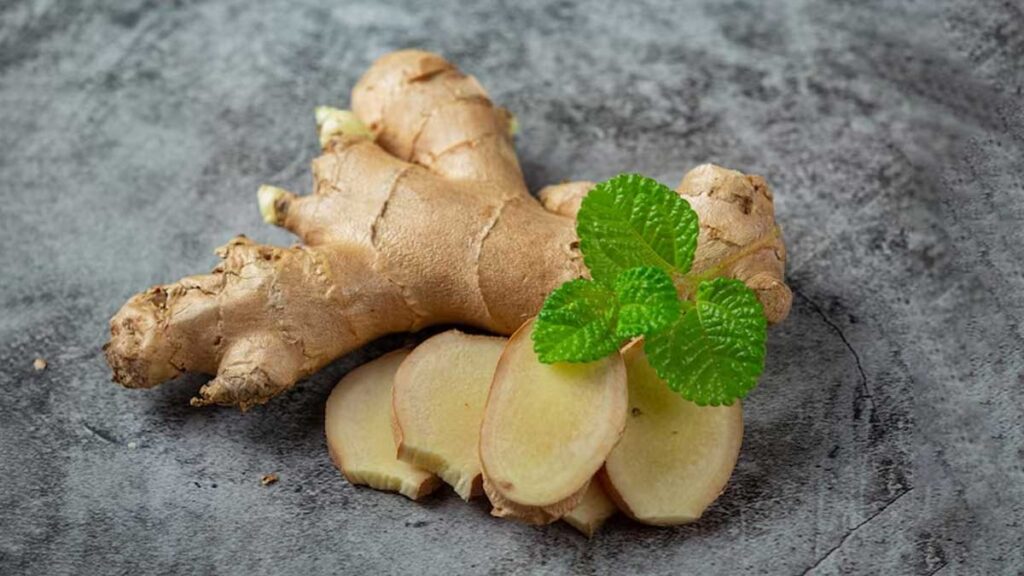 ginger benefits and uses