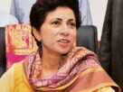 Kumari Shailja indicated to contest elections from Sirsa seat - 3