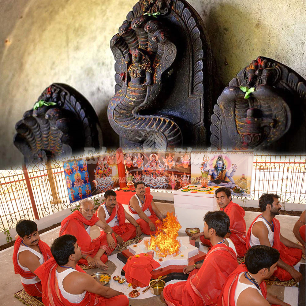 Kalsarp योग से संघर्ष भरा रहता है जीवन, Health पर पड़ता है बुरा प्रभाव, जानियें उपाय... 2 Kalsarp Yoga -2