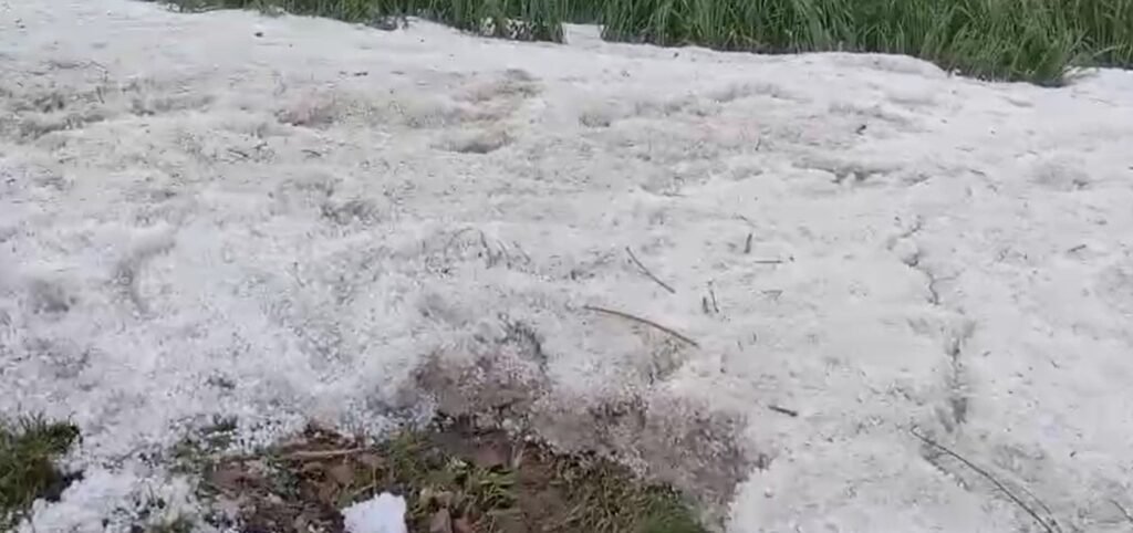 Haryana : तेज बारिश के साथ ओलावृष्टि ने बढ़ाई किसानों की चिंता, फसलों पर मंडराया खतरा, तापमान में 4 डिग्री तक की आई गिरावट 2 बारिश 13