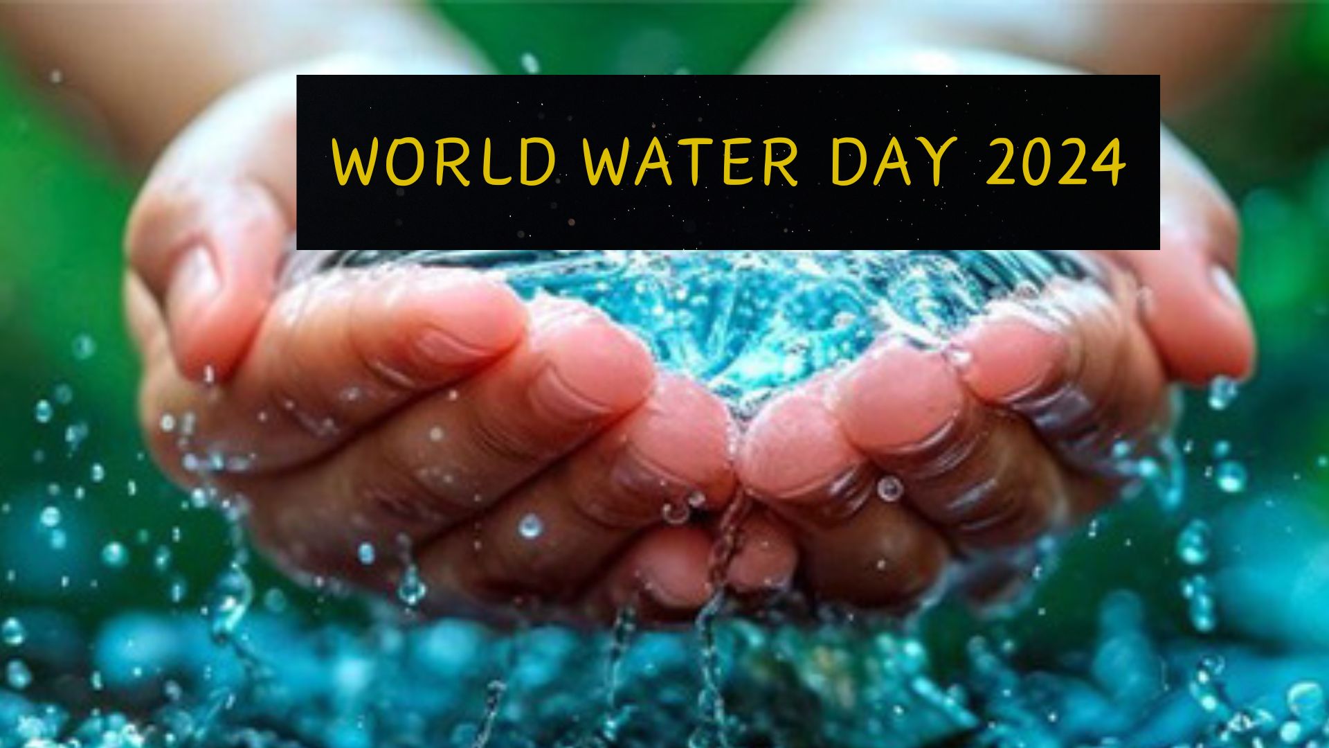 world water day 2024