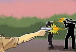 Cow smugglers attack police