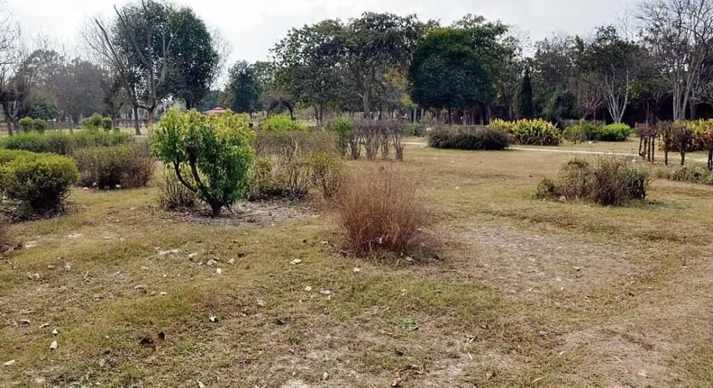 Panipat के सैक्टरों की मूलभूत सुविधाओं को छीनने में जुटा Huda, 16 सैक्टरों में सीवर, सड़कों, Street Lights सहित सफाई का नहीं लगा कोई Tender 5 Engaged in snatching the basic facilities of the sectors - 4