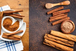 Cinnamon will bring good money