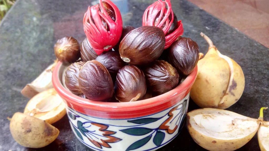 Miraculous Trick : जीवन से हर बला को दूर करेगा जायफल(Nutmeg), बना देगा सच्चा धनी 7 Nutmeg -6