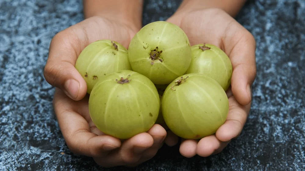 Amla will fill your life with happiness