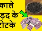 Black urad dal will bring full blessings