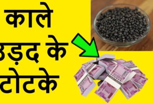 Black urad dal will bring full blessings