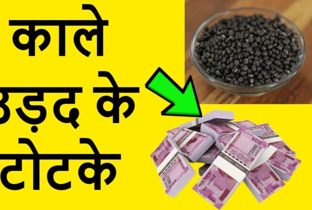 Black urad dal will bring full blessings