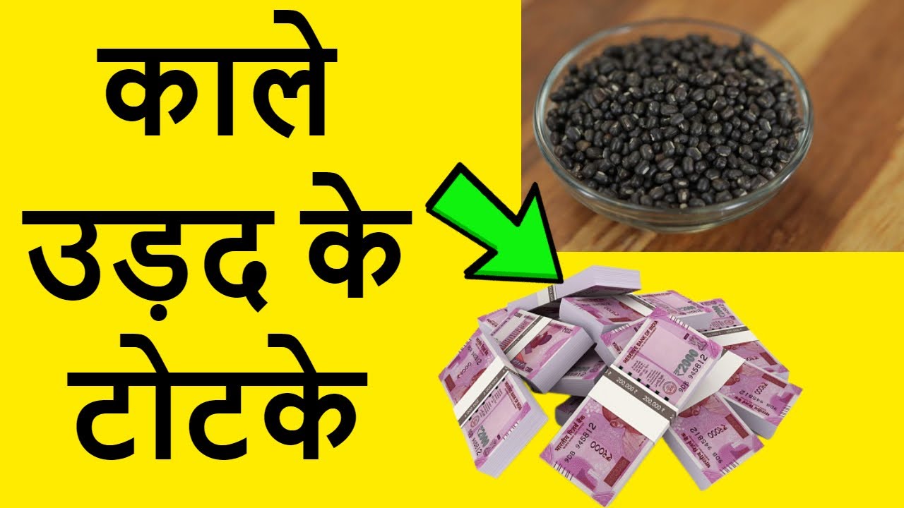 Black urad dal will bring full blessings