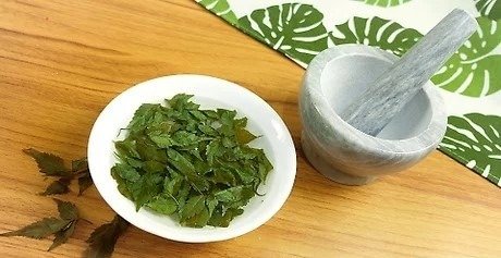 Neem leaves -3
