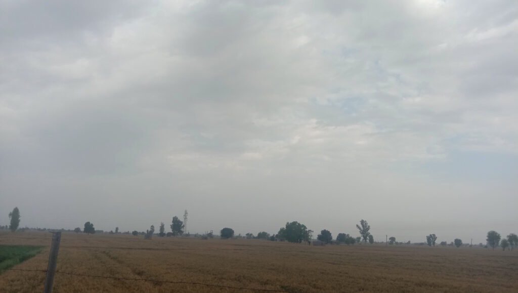 Haryana Weather : हरियाणा के कई शहरों में बारिश का अलर्ट, तेज हवाओं के साथ बिजली गिरने का खतरा, दोपहर के तापमान में भी गिरावट 4 बारिश 7