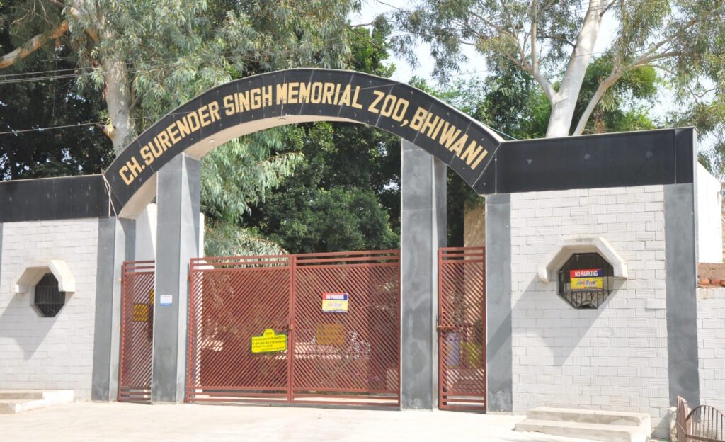 Haryana News : भिवानी के चिड़ियाघर में अब महंगा होगा वन्य जीवों का दीदार, टिकट के लिए नए रेट जल्द होंगे लागू, तपिश से बचाने के लिए हो रहा कूलरों का इंतजाम 2 भिवानी चिड़ियाघर