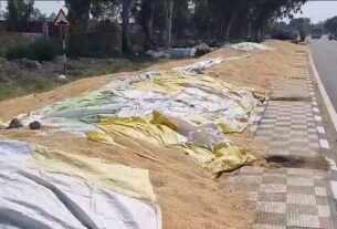 Haryana farmer worried