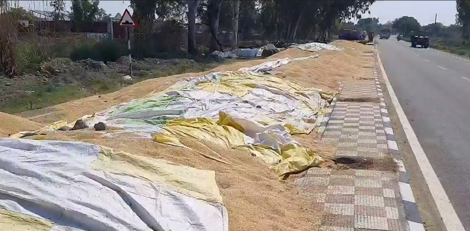 Haryana farmer worried