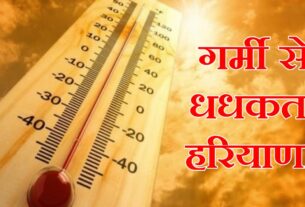 haryana heat wave