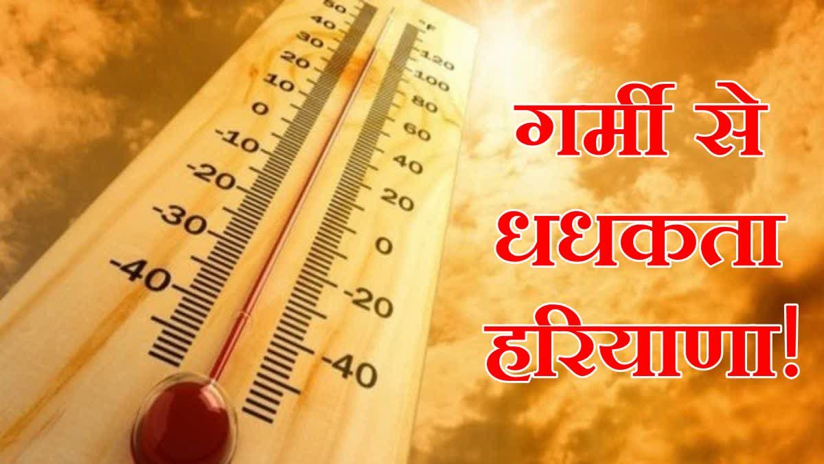 haryana heat wave