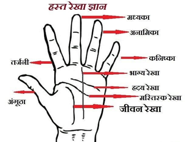 Hast Rekha Gyan : हाथों की Line में Hidden सफलता का Secret, जानियें कब खुलेगा आपका Luck 4 Hast Rekha Gyan - 3