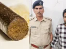 accused supplier in 480 gram hashish smuggling case