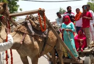 The candidate arrived riding on a camel to file nomination