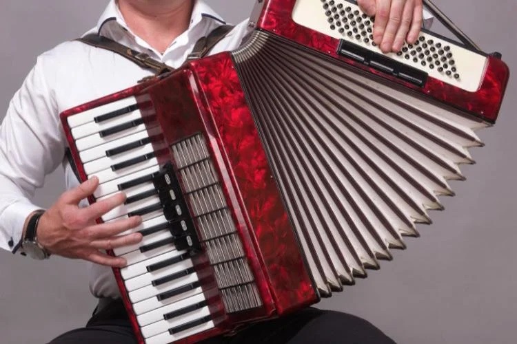 best italian accordion brands